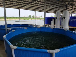 工厂化水产养鱼技术 水产养鱼设备 智慧农研 优质服务